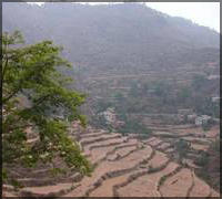 Madumalai National Park