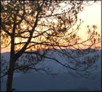 Madumalai National Park