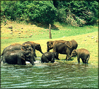 Stae Archaeology Museum