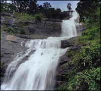 Devbagh Beach Resort