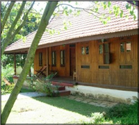 Falcon Tours and Travels