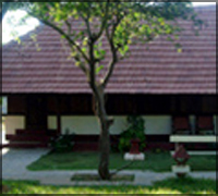 Falcon Tours and Travels