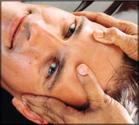 Falcon Tours and Travels