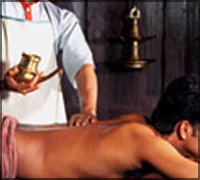 Falcon Tours and Travels