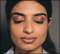 Falcon Tours and Travels