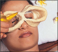 Falcon Tours and Travels