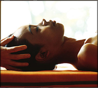 Falcon Tours and Travels