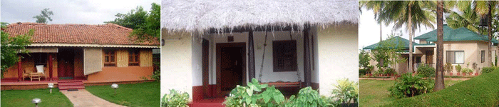 Falcon Tours and Travels