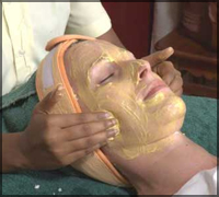 Falcon Tours and Travels