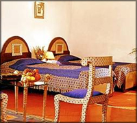 Falcon Tours and Travels