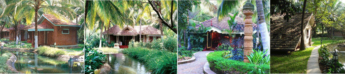 Falcon Tours and Travels