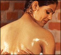 Falcon Tours and Travels