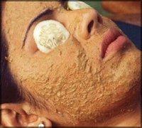 Falcon Tours and Travels