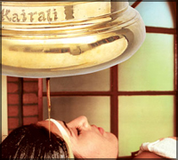 Falcon Tours and Travels