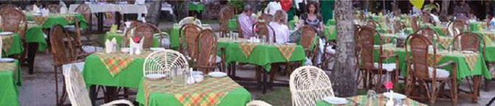 Falcon Tours and Travels