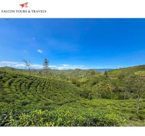 Karnataka Weekend Gateway Tours 4