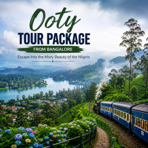 Ooty Tour Package from Bangalore – Escape Into the Misty Beauty of the Nilgiris with Falcon Tours & Travels