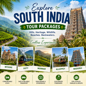 South India Tour Packages – Explore the Best of South India with FALCON Tours and Travels