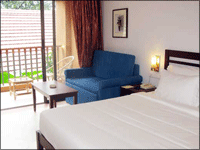 Falcon Tours and Travels