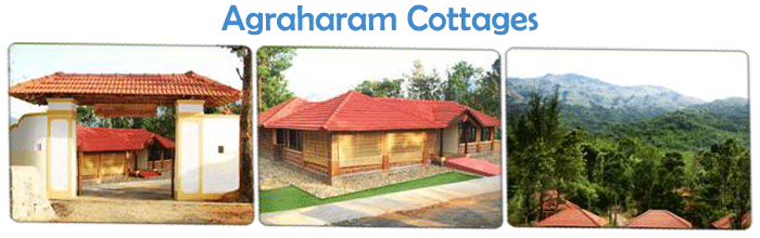 Eco Friendly Resorts