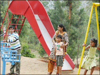 Falcon Tours and Travels