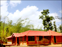 Falcon Tours and Travels