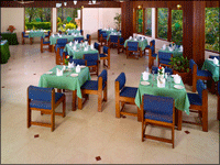 Falcon Tours and Travels