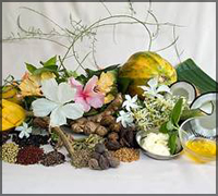 Falcon Tours and Travels