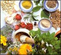 Falcon Tours and Travels