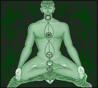 Falcon Tours and Travels