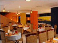 Falcon Tours and Travels