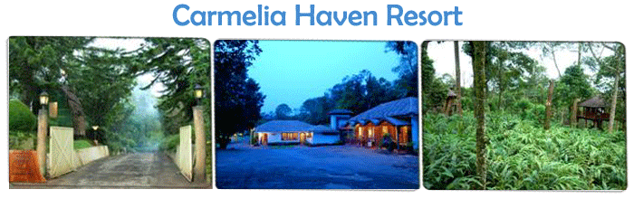 Eco Friendly Resorts