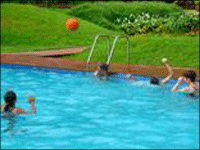 Falcon Tours and Travels