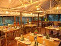 Falcon Tours and Travels