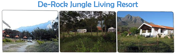 Eco Friendly Resorts