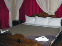 Falcon Tours and Travels