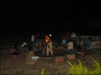 Falcon Tours and Travels