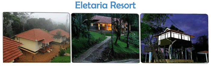 Eco Friendly Resorts
