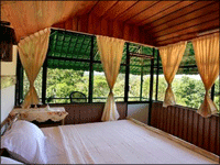 Falcon Tours and Travels