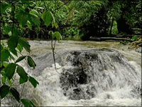 Falcon Tours and Travels