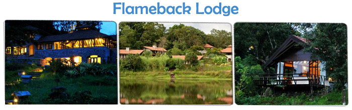 Eco Friendly Resorts