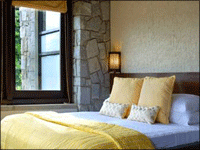 Falcon Tours and Travels