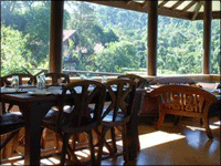 Falcon Tours and Travels