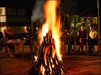 Falcon Tours and Travels