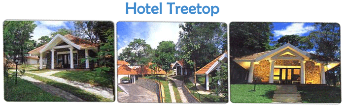 Eco Friendly Resorts