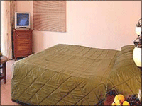 Falcon Tours and Travels