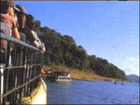 Falcon Tours and Travels