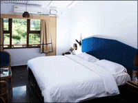 Falcon Tours and Travels