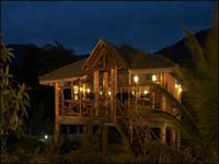 Falcon Tours and Travels