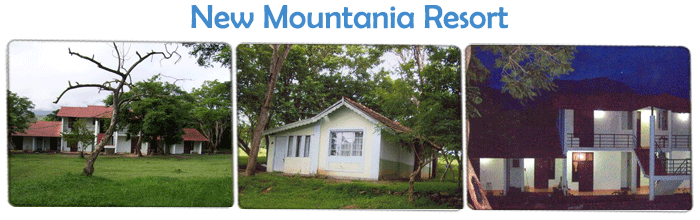 Eco Friendly Resorts